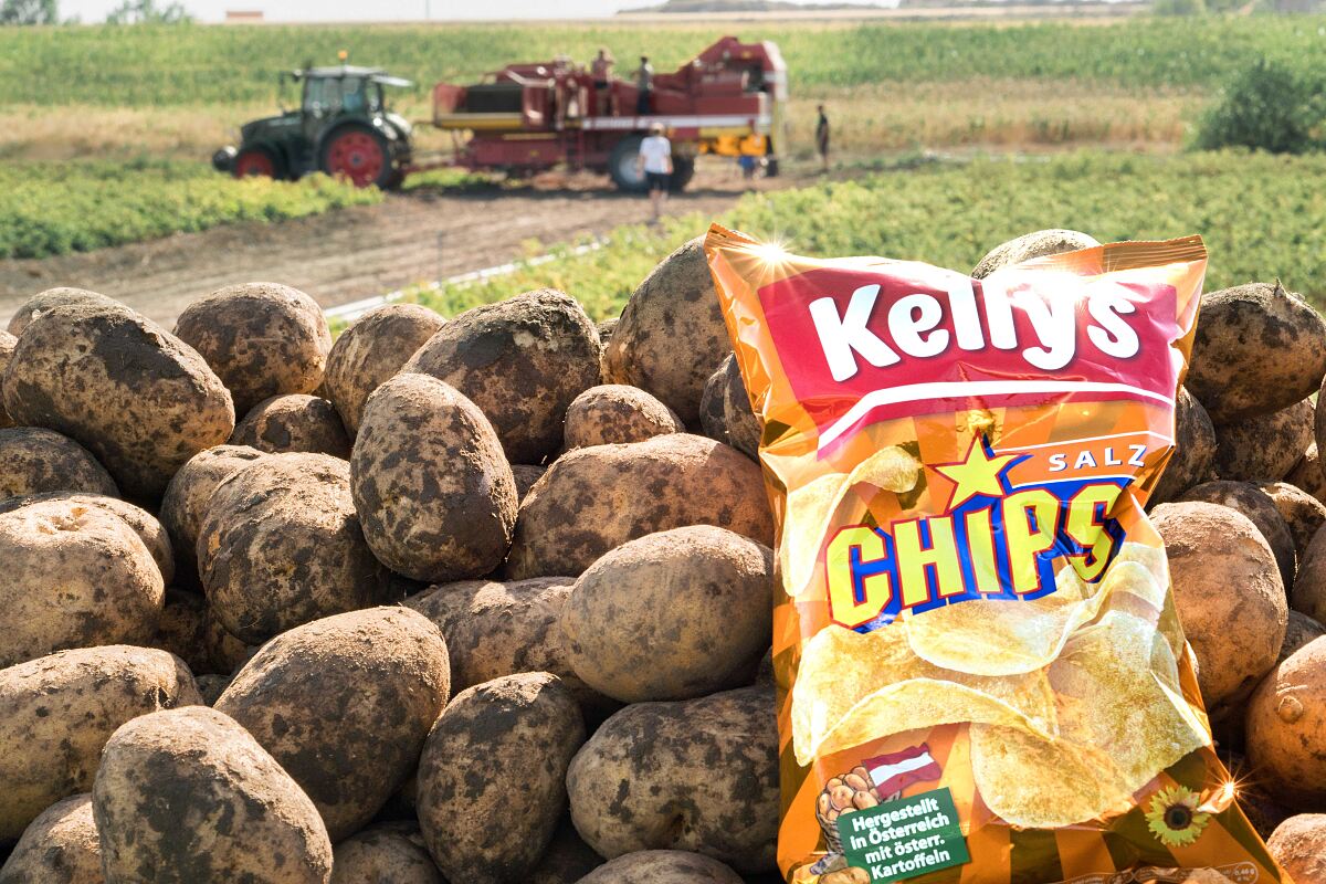 Frische Ernte Kellys Chips
