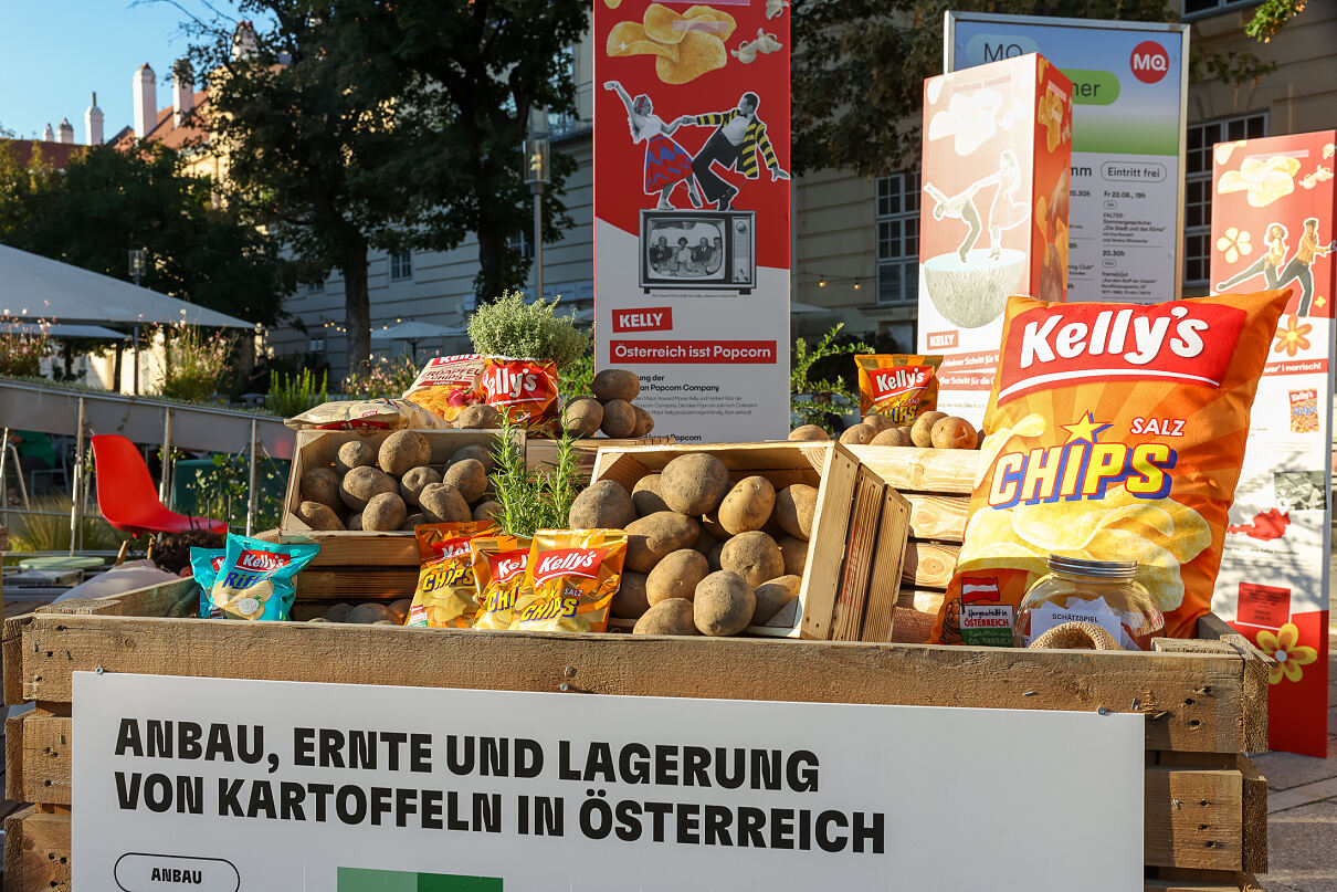 250826-007KatharinaSchiffl_7190